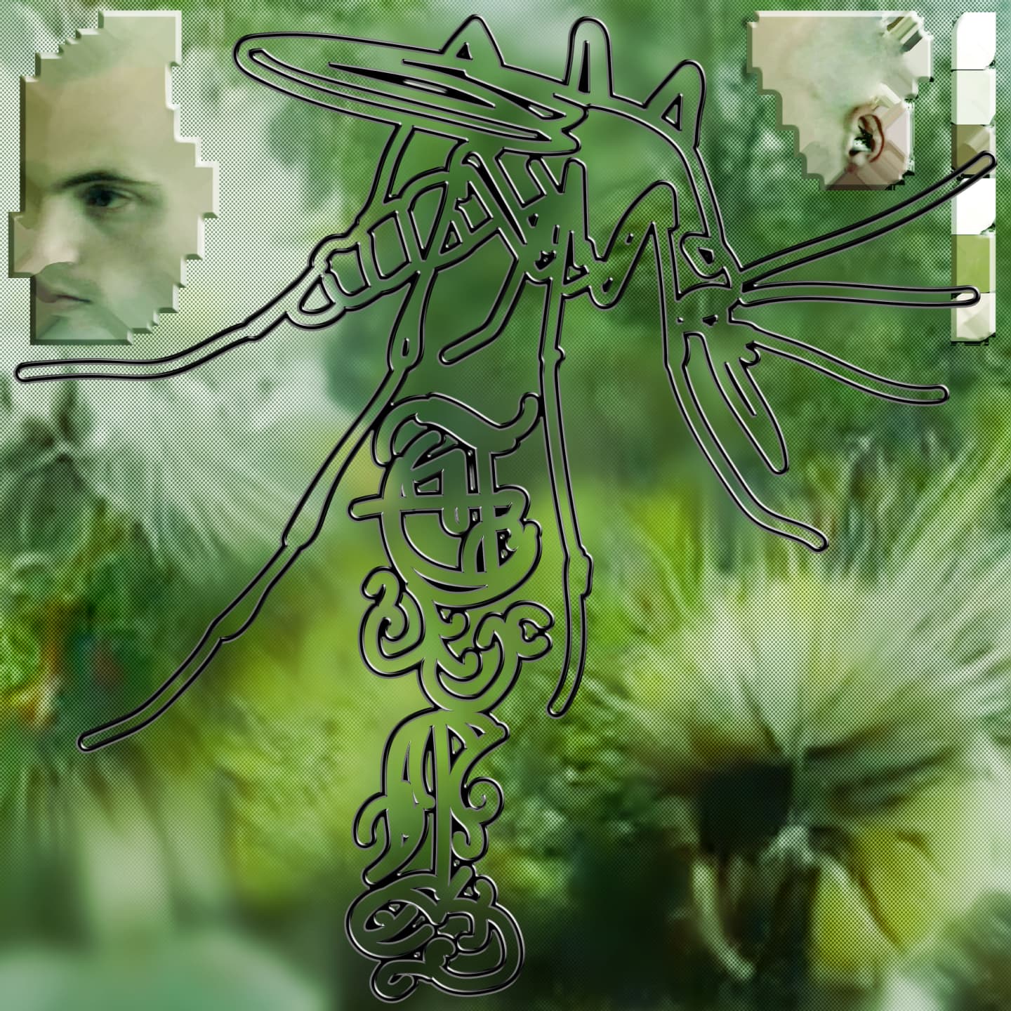 tanderlimfot-bugsme-cover.jpg